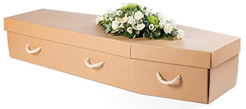 xPlain-Cardboard-Coffin.jpg.pagespeed.ic.LYpdqcBHG6.webp